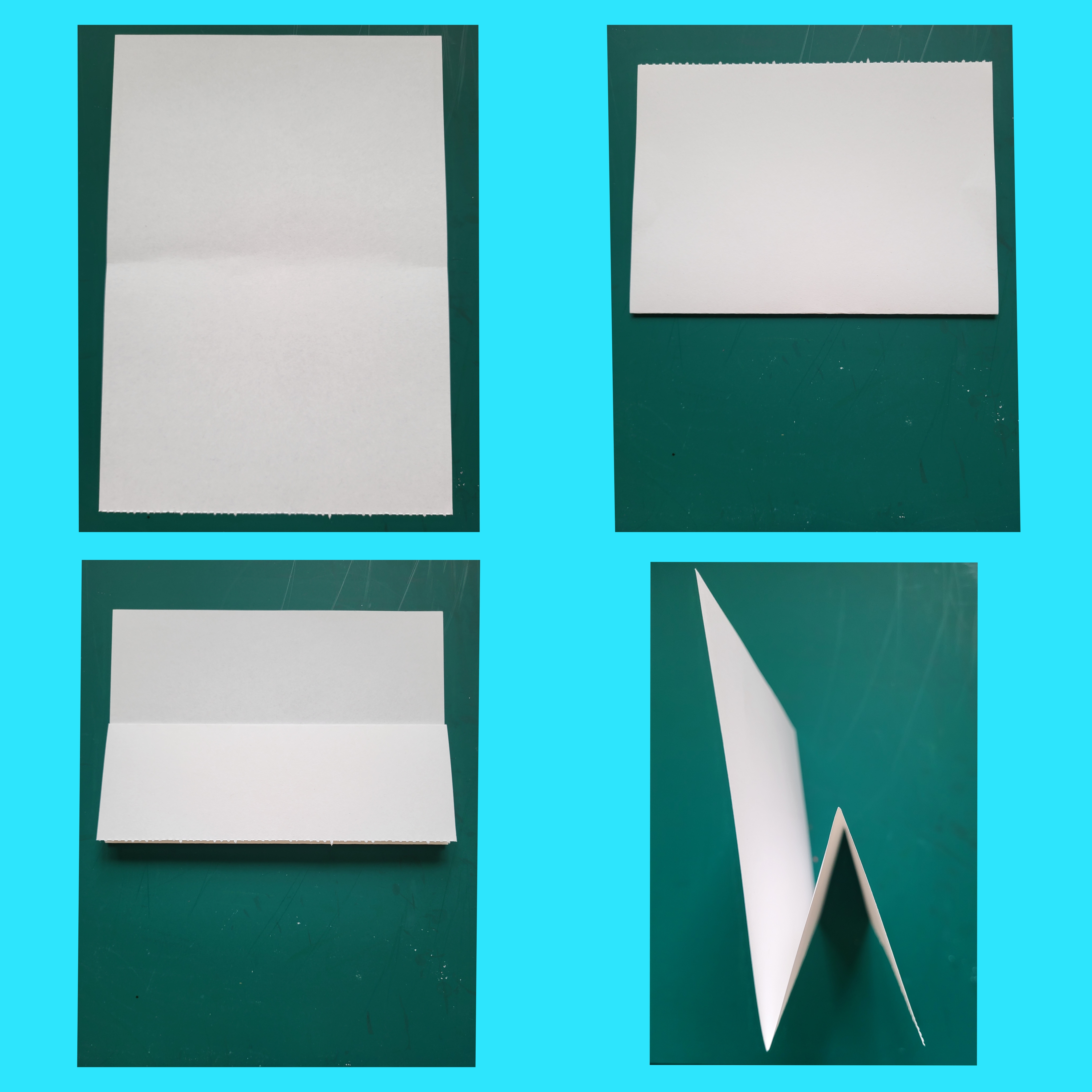 HOW TO DRAW A VERY HUNGRY FISH - FUN CRAFT